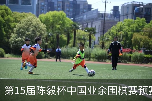 第15届陈毅杯中国业余围棋赛预赛收官 本赛阵容出炉